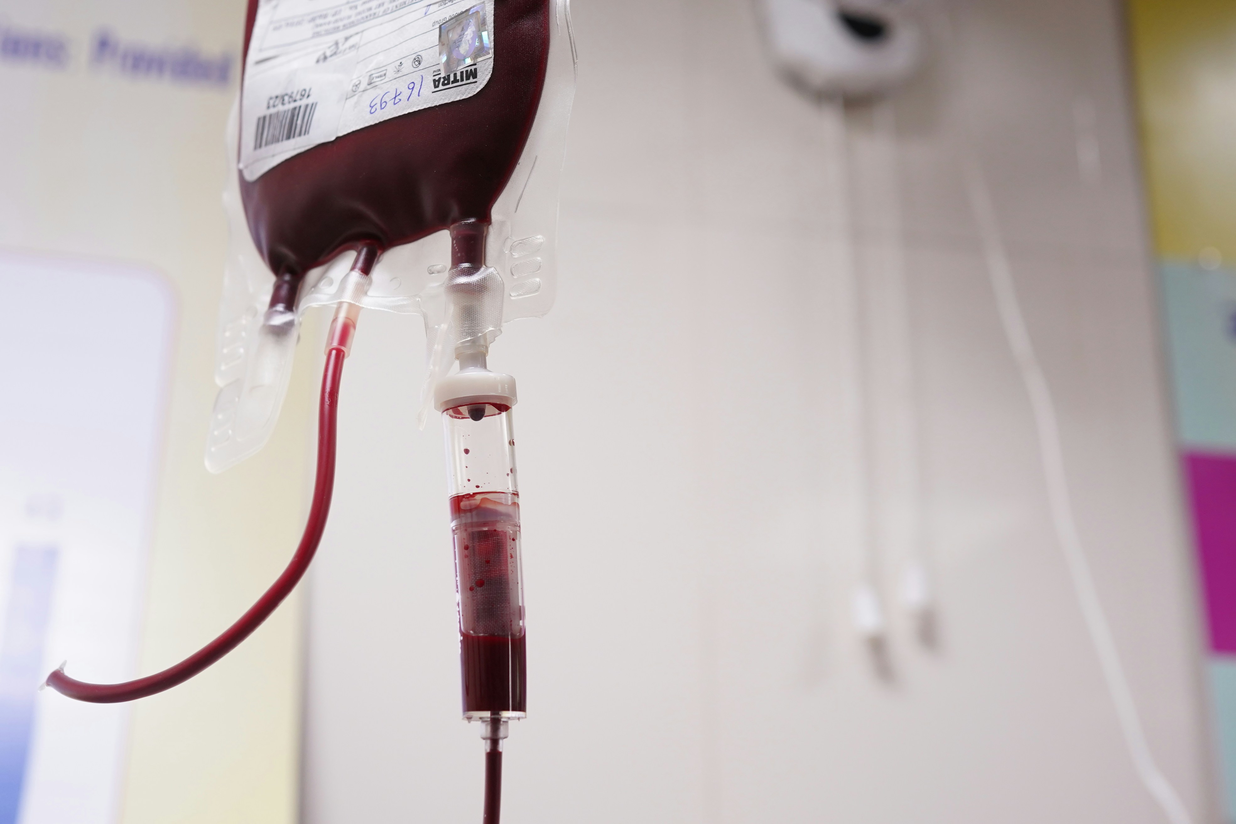 Why Blood Donation Matters More Than Ever